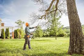 Best Seasonal Cleanup (Spring/Fall)  in Accokeek, MD